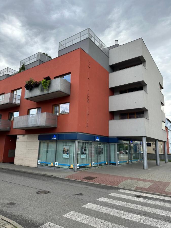 Apartments Spacilova Nearly Center Komarov ภายนอก รูปภาพ